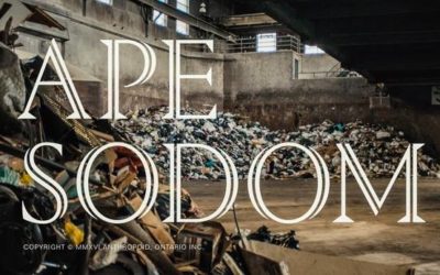 Maxwell McCabe Lokos’ ‘Ape Sodom’ in TIFF Short Cuts Program
